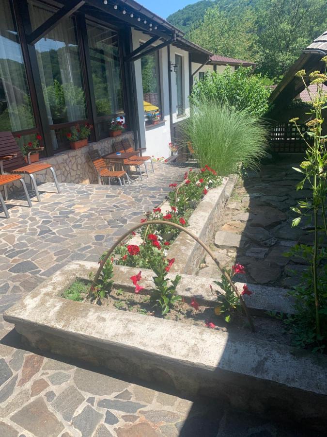 No Comment Rustic Curtea de Argeş Εξωτερικό φωτογραφία